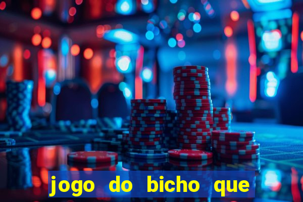 jogo do bicho que paga no pix